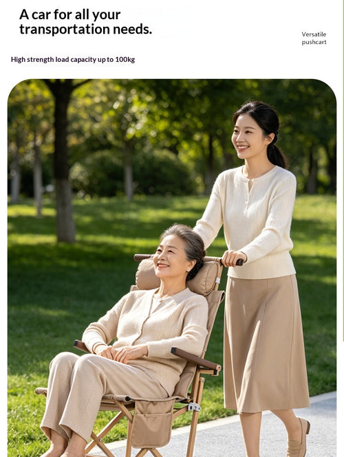 Portable Folding Multifunctional Pushcart For Travel